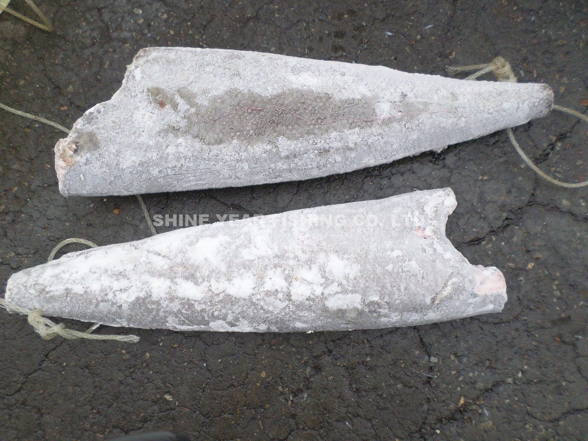 粗鱗油甘/Rough Skin Oilfish 