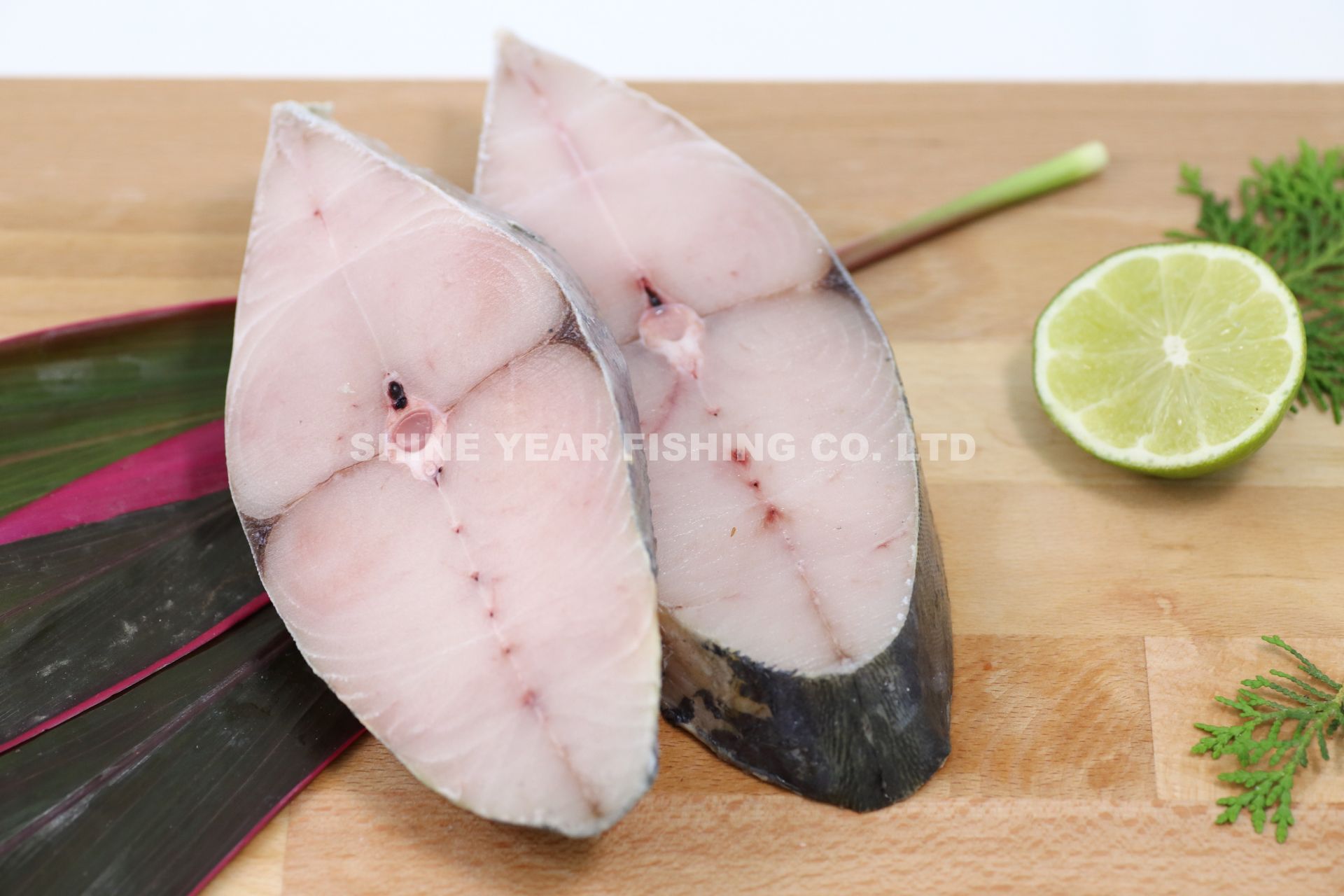 土魠/Spanish Mackerel 