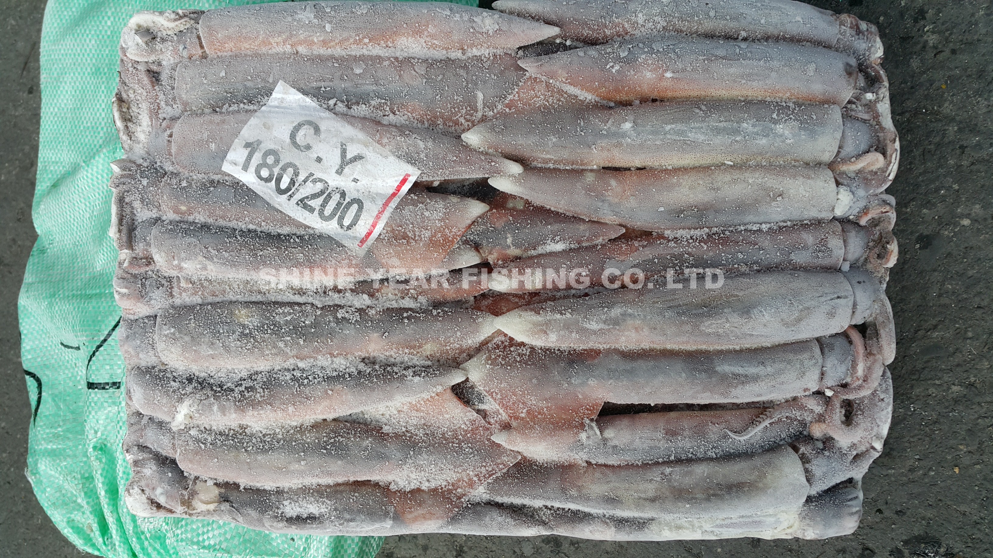 阿根廷魷魚 180-200克/ Argentine Squid 180-200g